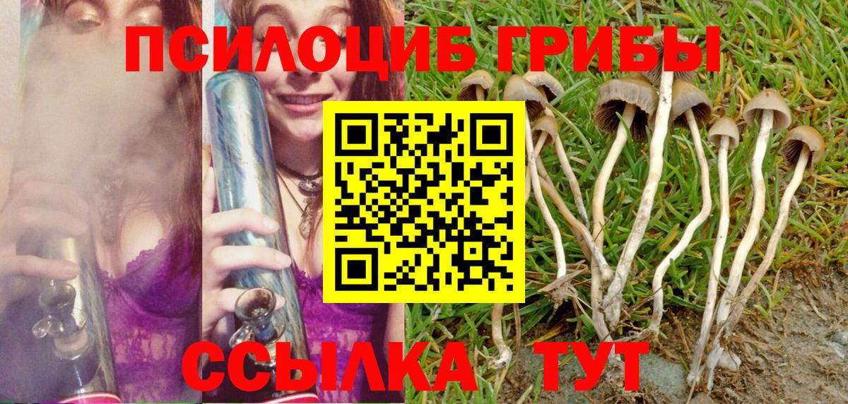 Алексеевка  купить наркотик  Вход с VPN  Галлюциногенные грибы Psilocybine cubensis 