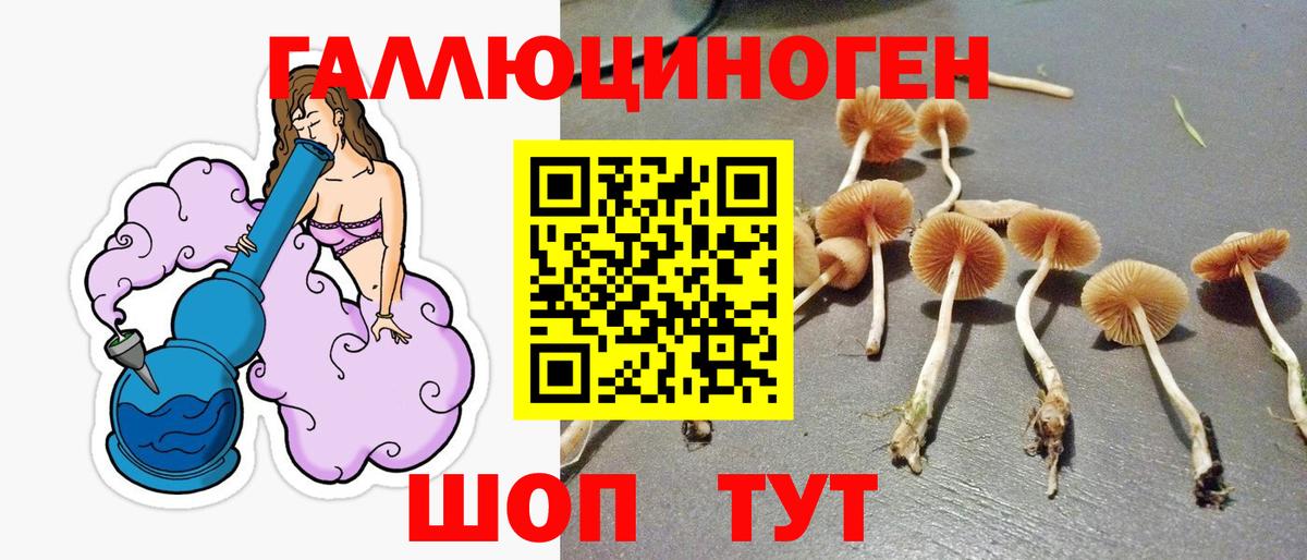 Галлюциногенные грибы ЛСД Алексеевка